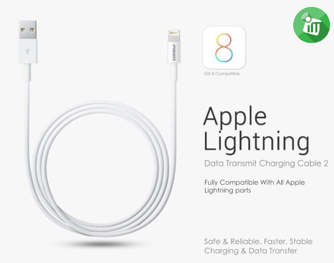 Pisen Apple Lightning Data Charging Cable II 3000mm