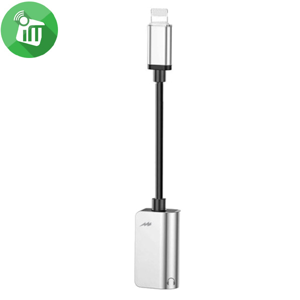 iPower Dual Lightning Audio & Charge Adapter (yix)