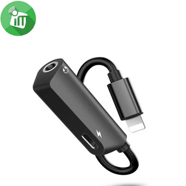 Pisen TS-E123 2in1 Zinc Alloy Adapter (Lightning + 3.5mm)