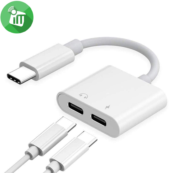 iPower USB-C to Dual USB-C Adapter