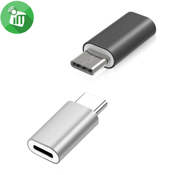 iPower Lightning To Type C Adapter