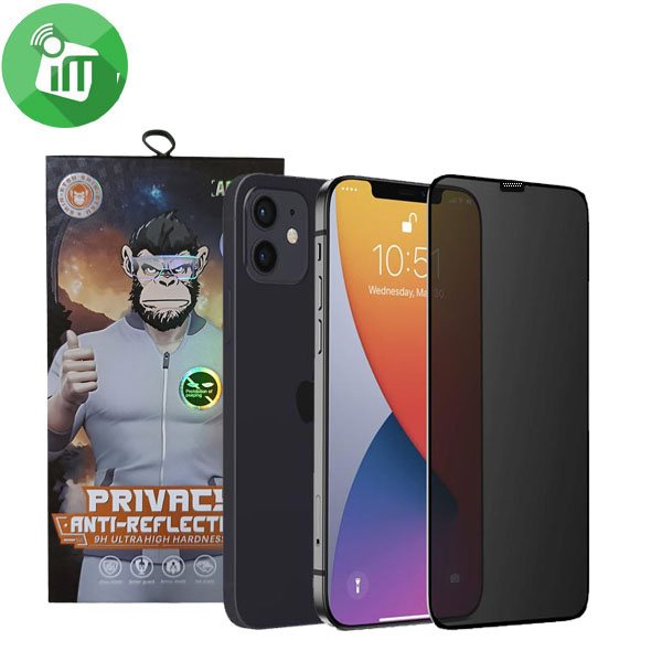 iScreen Glass 5D Full Glue Privacy Screen Protector iPhone 11/XR