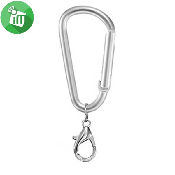 Replacement Keychain Hook