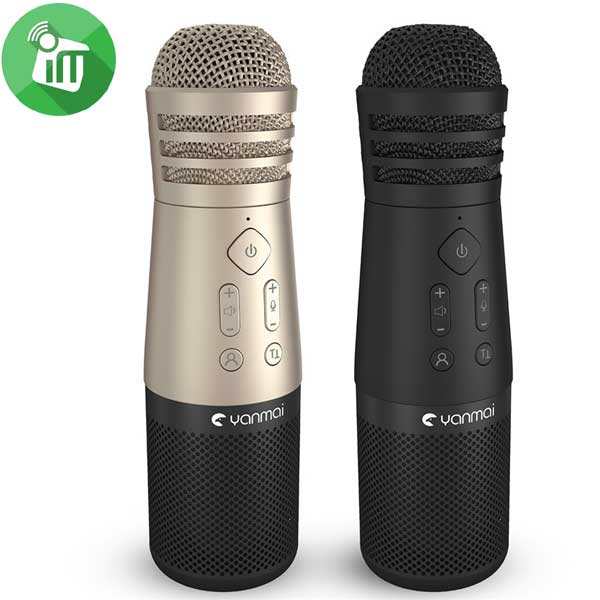 Yanmai SF-999 Bluetooth Karaoke Microphone Speaker