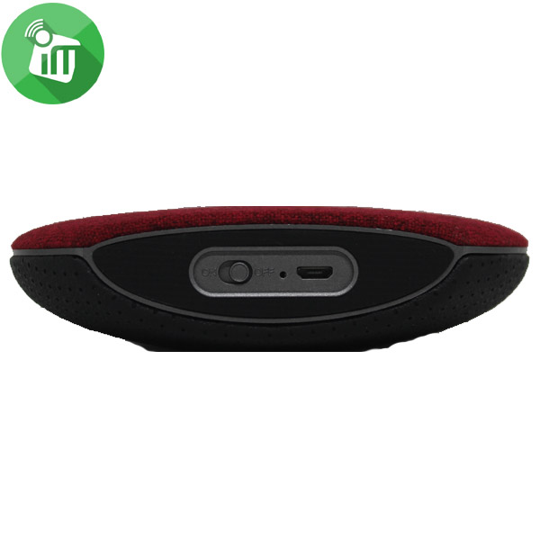 Bluetooth Portable Speaker
