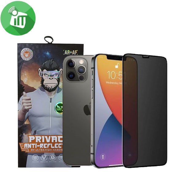 iScreen Glass 5D Full Glue Privacy Screen Protector iPhone 12 Pro Max