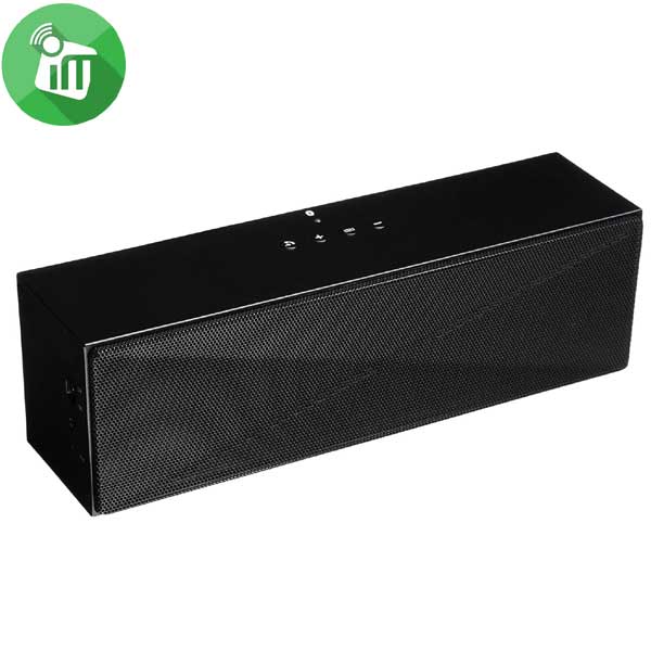 AmazonBasics Large Portable Bluetooth Speaker