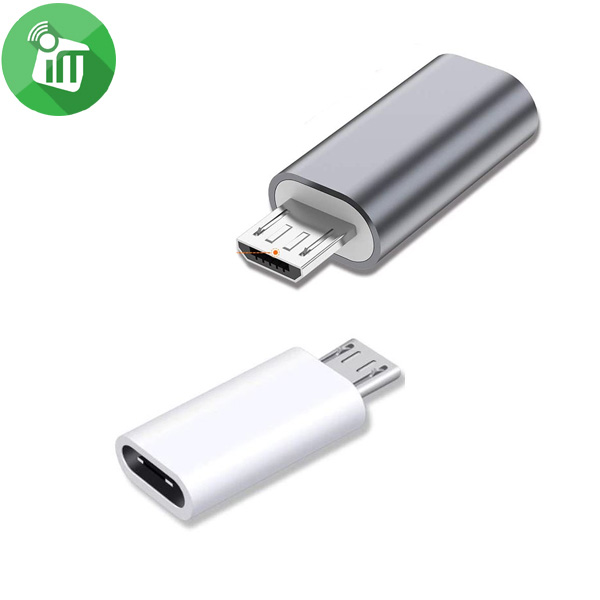 iPower Type C To Micro Converter