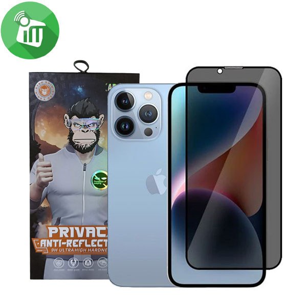 iScreen Glass 5D Full Glue Privacy Screen Protector iPhone iPhone 14/13/13 Pro