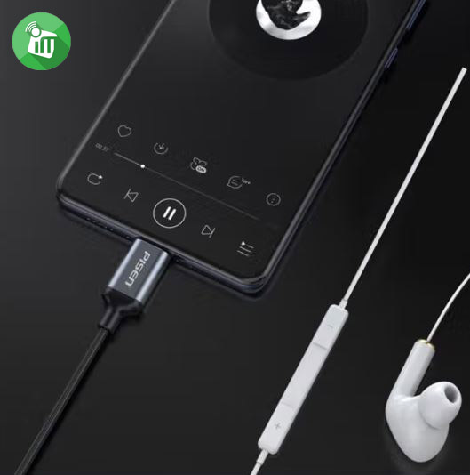 Pisen YP01 Type-C to 3.5mm Audio Adapter Cable