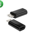 iPower Lightning To Micro Adapter