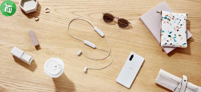 Sony WI-C100 Wireless In-ear Headphones