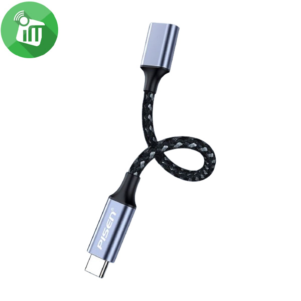 Pisen LV-H19 USB-C to Lightning Audio Adapter