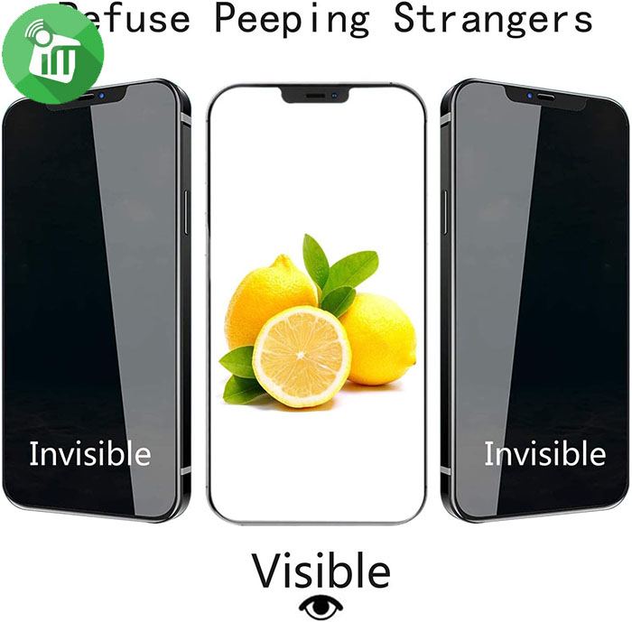 Vmax Screen Protector Privacy 2.5D Full Glue Full cover Tempered Glass For iPhone 12