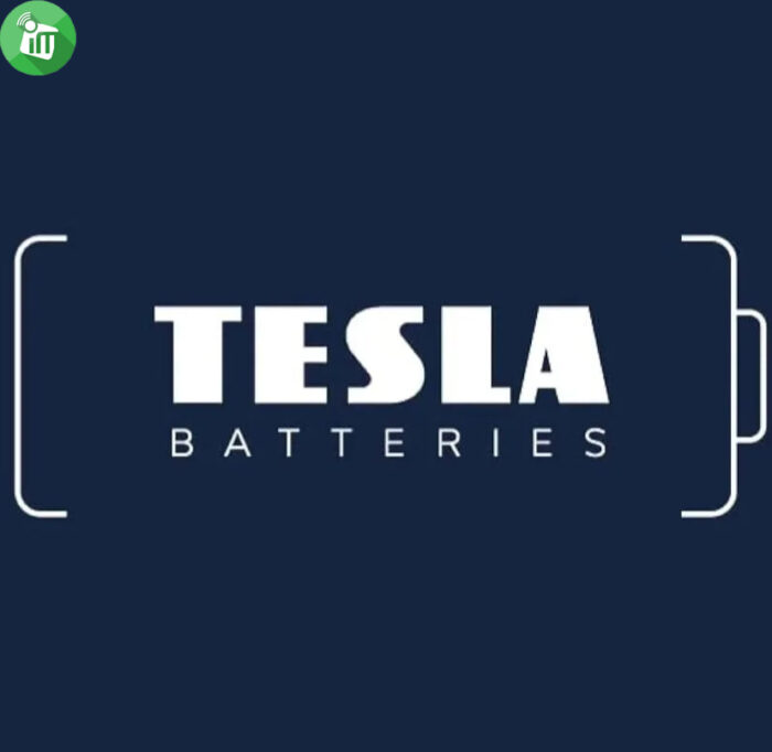 TESLA BLACK+ 2PCS Size D Alkaline Batteries 1.5V