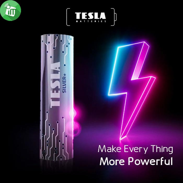 TESLA SILVER+ 10PCS AA Alkaline Batteries 1.5V