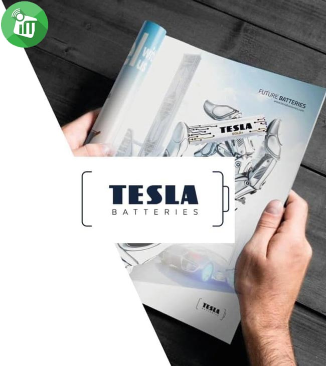 TESLA SILVER+ 10PCS AAA Alkaline Batteries 1.5V