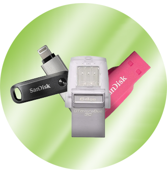 Flash Storage
