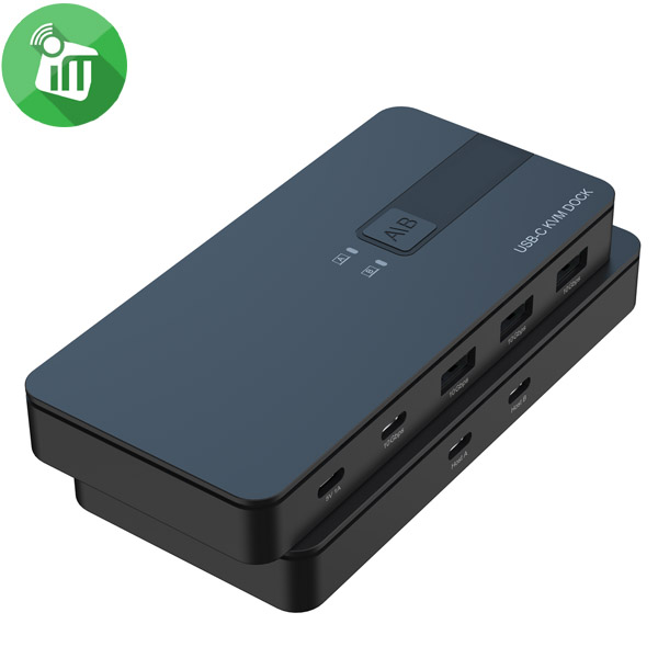 Onten USB 3.2 Gen 2 Sharing Switch 2 In 4 Out (OTN-KVM200)